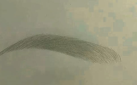 眉毛里的父愛作文