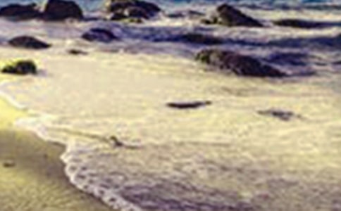 �l�������ľ���