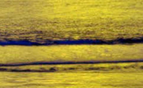 五年級(jí)一處美景日記500字