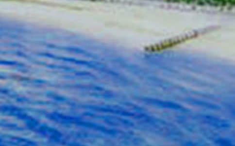 ����ʮһ�µ������f�f