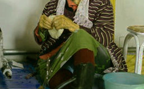 �ɹ������L(f��ng)�������ģ�ͨ��13ƪ��