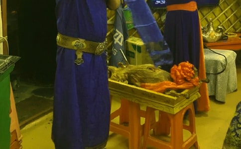 �ɹ������������