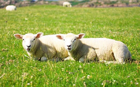 ������cС�d���x��з���