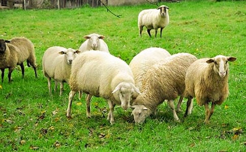 ������ľd���x���