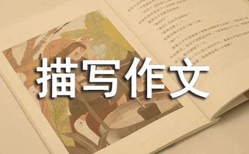 ����Ƭ���茑����6ƪ