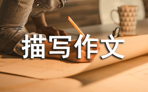 ����Ƭ���茑���ļ�����ƪ