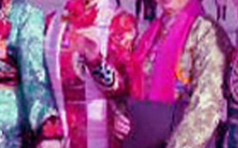 ���������W��ʲô��˼