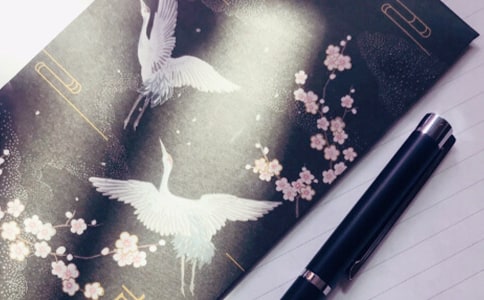 һ������Ƭ��ӛ