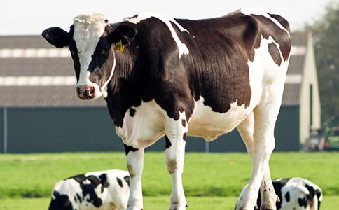 ��������ţ�m��3ƪ