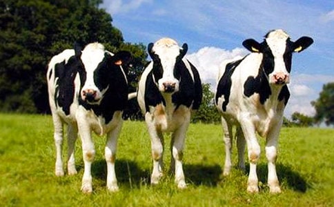 ����������ţ���x��У�ͨ��10ƪ��