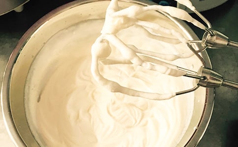 《橡樹上的逃亡》優秀讀后感