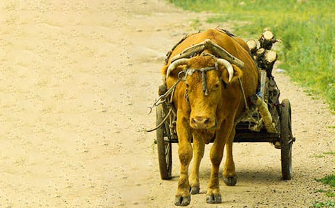 �y���Ƕ��sţ܇��醚vɢ��