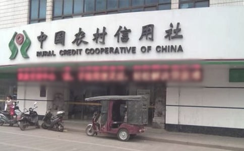 農村信用社員工轉正申請書(精選6篇)