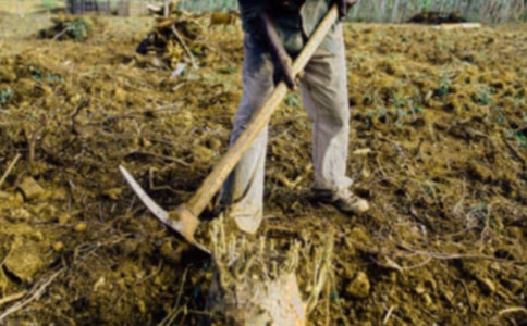 ���r������x�𰸣����x7�ף�