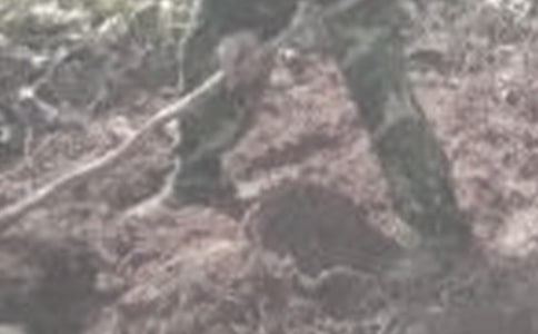 永遠保持對農活的熱愛散文隨筆