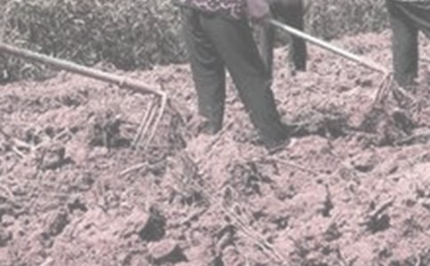 ��һ�θ��r(n��ng)�����ģ����x13ƪ��