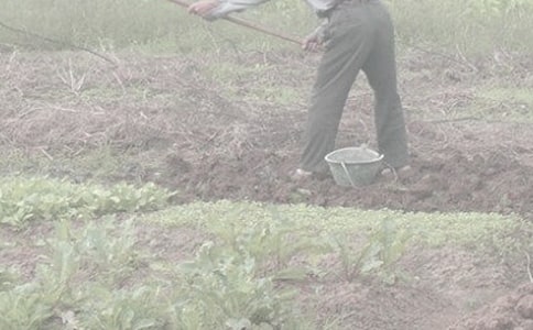 中學生學農活動總結范文(通用14篇)