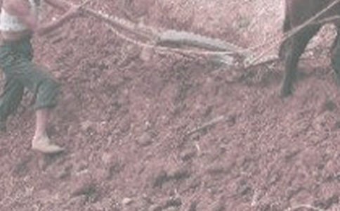 ��ٵ�һ�����r(n��ng)�����ģ����x24ƪ��