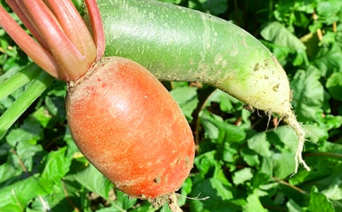 �r(n��ng)�Ҙ��߄���(����15ƪ)