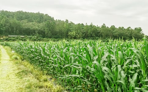 �r(n��ng)�Ҙ������ͬģ��