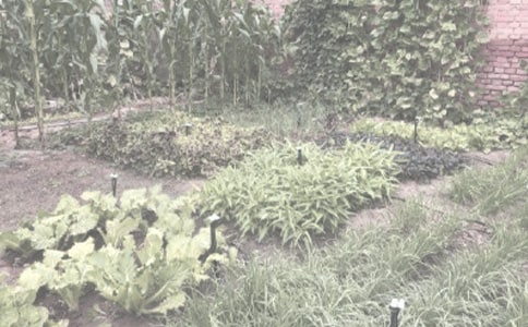 �а��Z�Խ̰����r(n��ng)���ﾎ�i��(hu��)�̰����̌W(xu��)��˼