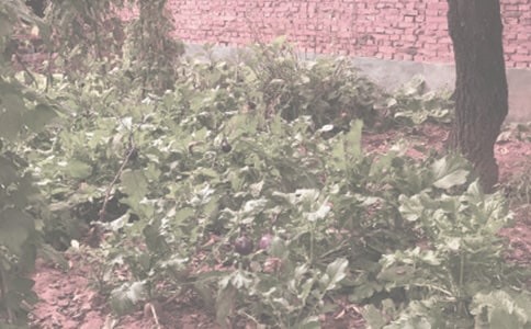 �r����N�Ӳ�ُ�ĺ�ͬ������ͨ��12ƪ��