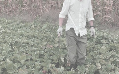 ��������r����L���n�̰�