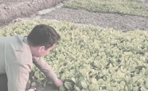 �r�����i�Z����Щ