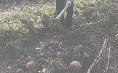 �r����N��ُ�N��ͬ9ƪ