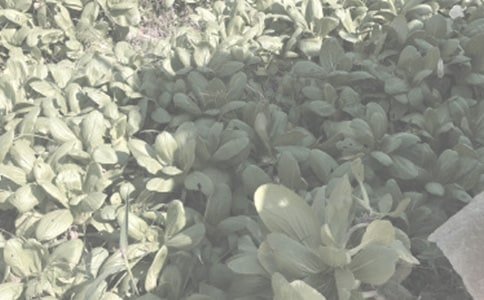 �����r������~�Z