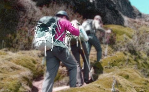 ��ɽ�����_�̌W(xu��)�O(sh��)Ӌ(j��)��ͨ��18ƪ��