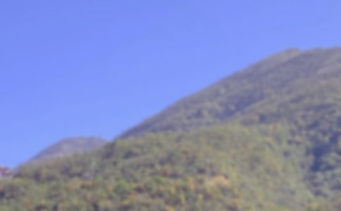 ��ɽ��ӷ���15ƪ