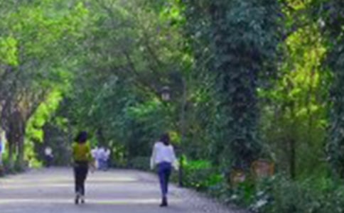 ��ɽ����ӛ