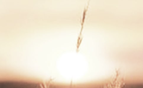 �ƕԕr���S�P