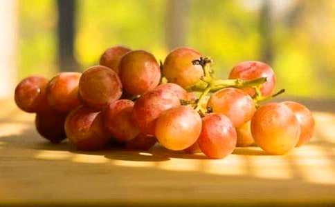 �����������ѡ�����̌W�OӋ����