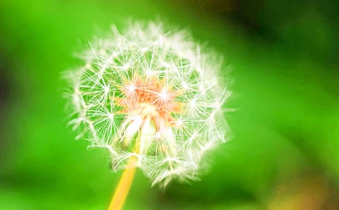 �ѹ�Ӣ�ĉ���Ԋ��