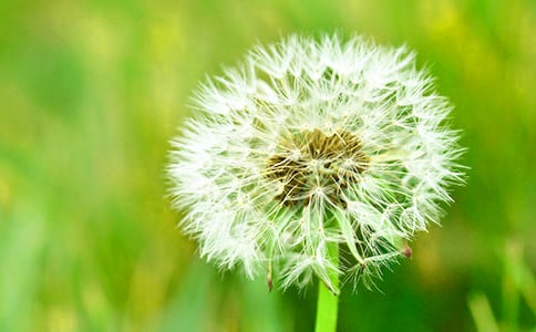 �옷���ѹ�Ӣ��x��