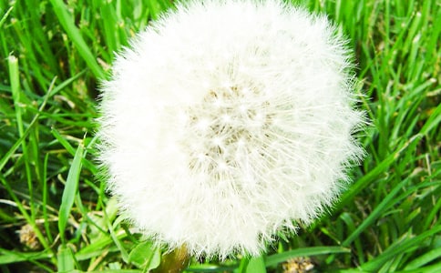 �ѹ�Ӣ������x���⼰������