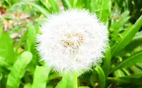 ���꼉�ѹ�Ӣ��x��