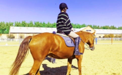 ���؂䡿�T�R����300�ּ��\��ƪ