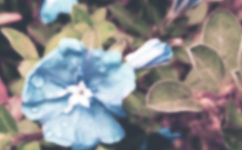 ���µĠ�ţ��Ԋ(sh��)��