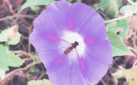 ��ţ���^����ӛ800�ַ���