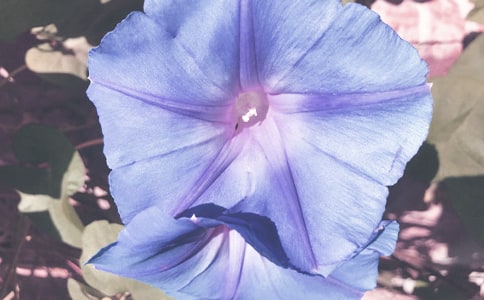 ��ţ���^����ӛ��ͨ��21ƪ��