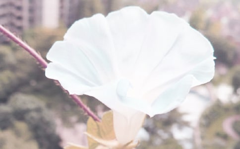 һ����ţ����x��