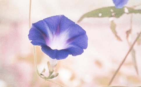 ����ţ������x��