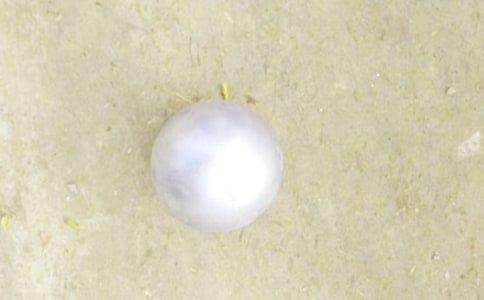 �U����������ǧ��