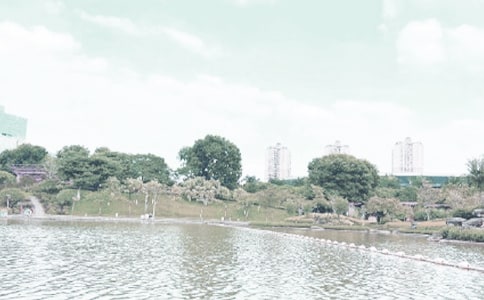 �P(gu��n)��ҹƷǧ�����ă�(y��u)��ɢ��