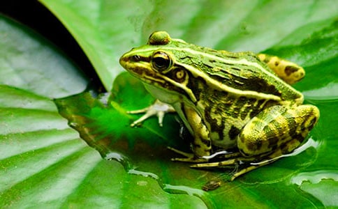 �а��W������̰������܄e���I��