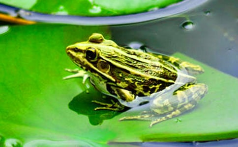 ���܌�Ԋ��x����