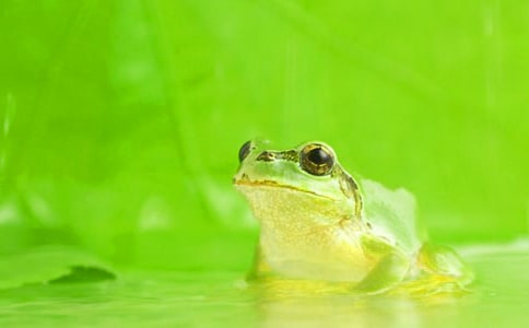 �аཡ����ӽ̰���С������������